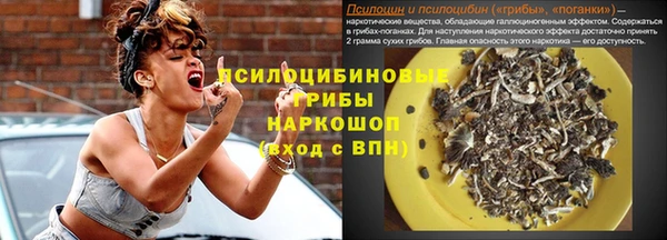apvp Абаза